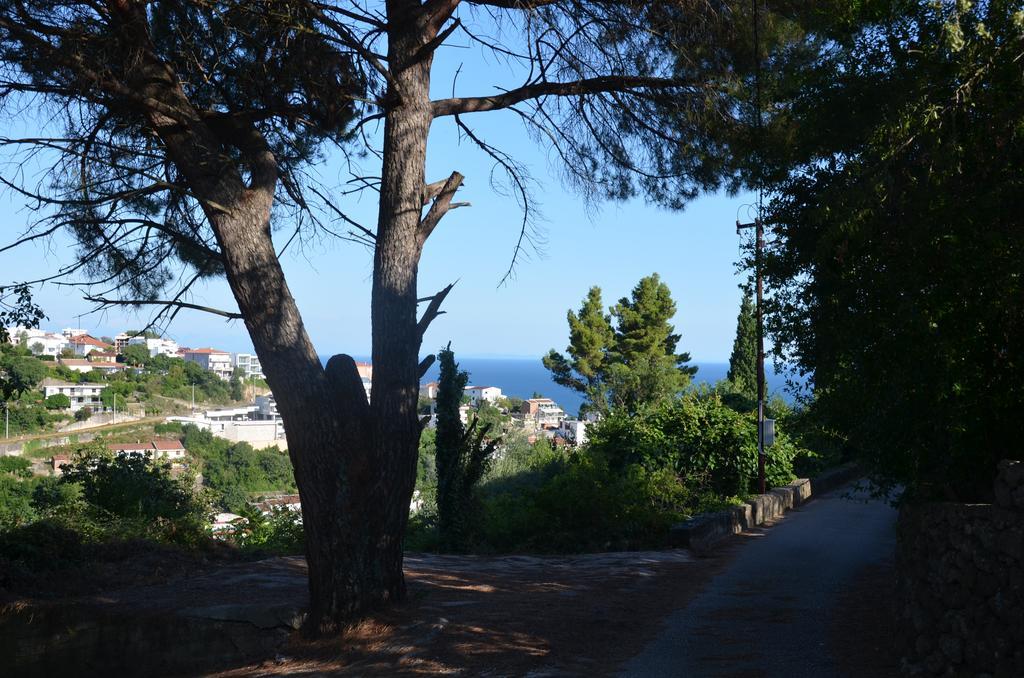 Apartment Dragovic Ulcinj Exterior foto